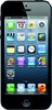 Apple iPhone 5 16GB - Партизанск